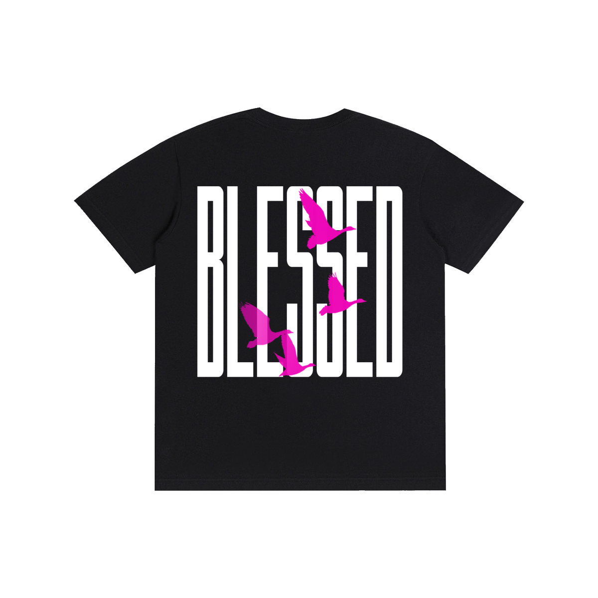 BLESSED BUTTERFLIES